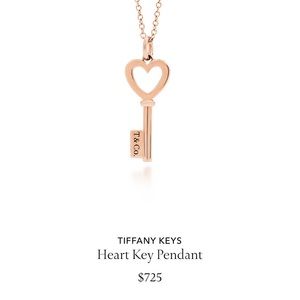 Never Worn 18KR Tiffany & Co Necklace